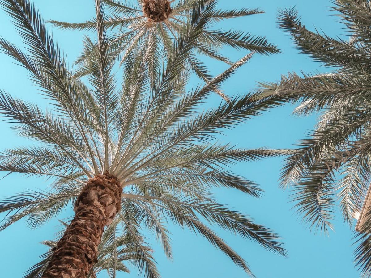 קסטלדאצ'ה Palm Beach Club Hotel מראה חיצוני תמונה